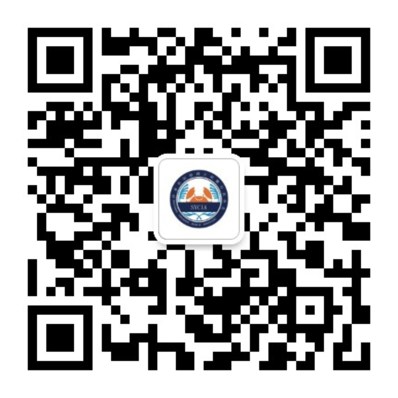 1706155268895093.jpg